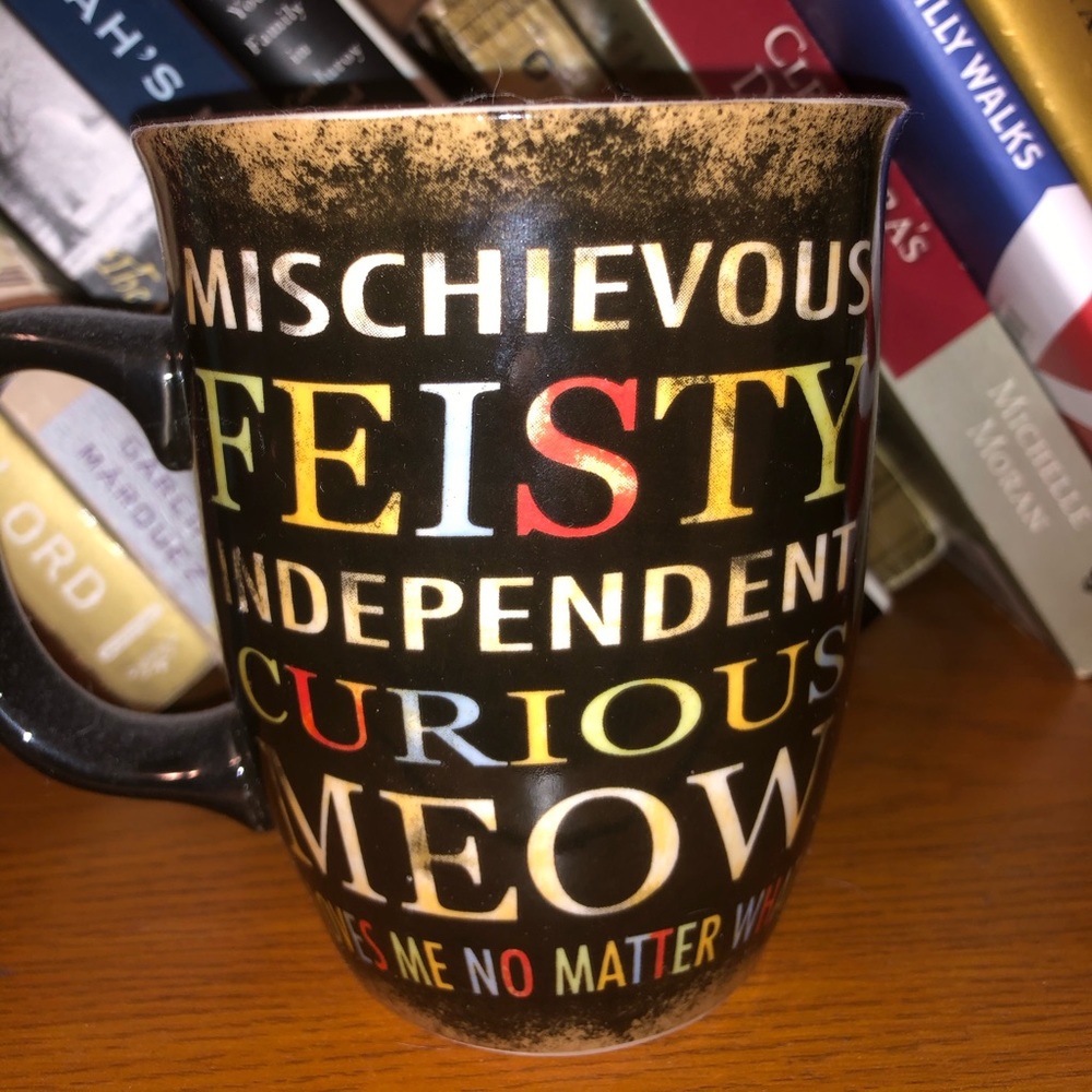 Cat Owner Mug